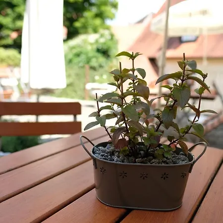 Romantica Blauer Hecht 3*